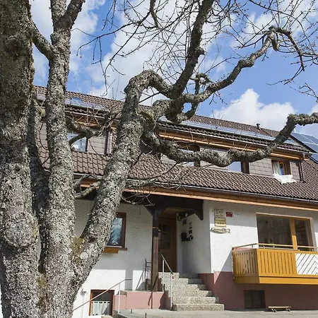 Kuckucksnester Menzenschwand דירה