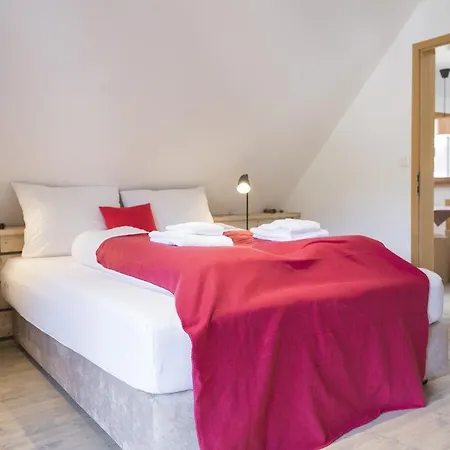 Kuckucksnester Menzenschwand סאן בלאסיין