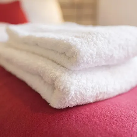 Apartment Kuckucksnester Menzenschwand St. Blasien